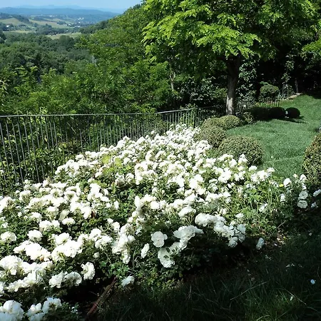 Guest house La Casa Della Penna